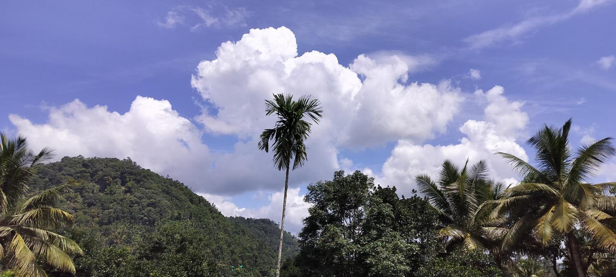 Himadri Munnar Holidays Exterior foto